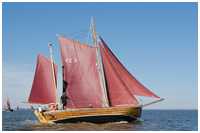 49. Zeesbootregatta Bodstedt 7. September 2013