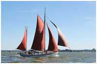 49. Zeesbootregatta Bodstedt 7. September 2013