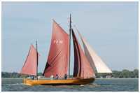 49. Zeesbootregatta Bodstedt 7. September 2013