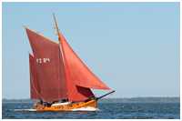 49. Zeesbootregatta Bodstedt 7. September 2013