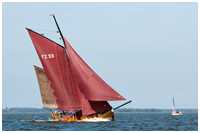 49. Zeesbootregatta Bodstedt 7. September 2013