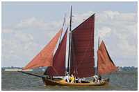 Zeesboot Butt (FZ 11)