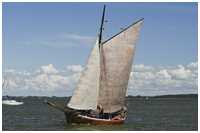 Zeesboot Gertrud (FZ 25)