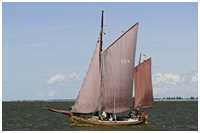 Zeesboot Bill (FZ 4)