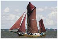 Zeesboot Seriola (FZ 41)