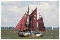 Zeesboot Polar (FZ 51)