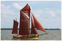 Zeesboot Bill (FZ 4)