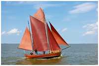 Zeesboot Butt (FZ 11)