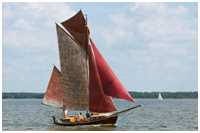 Zeesboot Swantewit (FZ 31)