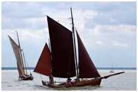 Zeesboot Butt (FZ 11)