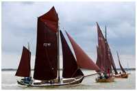 Zeesboot Seriola (FZ 41)