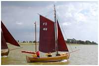 Zeesboot Astrild (FZ 49)