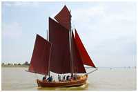 Zeesboot Butt (FZ 11)