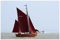 Zeesboot Eiken Hans (FZ 79)