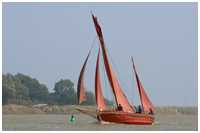 Zeesboot Hanne Nüte (FZ 14)