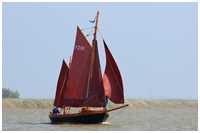 Zeesboot Lütt Hanning (FZ 99)