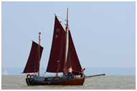 Zeesboot Polar (FZ 51)