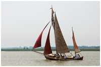 Zeesboot Swantewit (FZ 31)