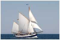 Heringslogger Belle Amie