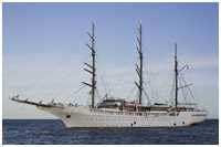Bark Sea Cloud II