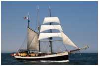 Barkentine Störtebeker