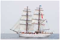 Brigg Aphrodite