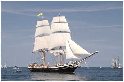 Brigg Morgenster