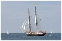 Brigg Morgenster