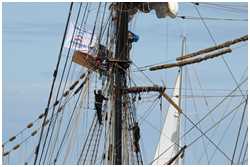 Hanse Sail 2017