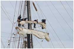 Brigg Roald Amundsen