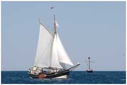 See-Ewer Amazone
