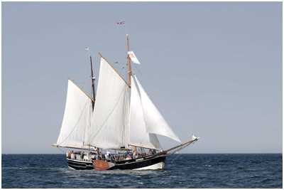 See-Ewer Amazone