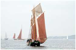 Rumregatta 2012