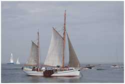Frachtewer Berta