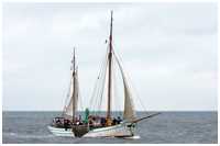 Hanse Sail 2011