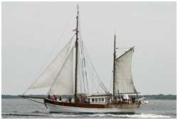 Hanse Sail 2005