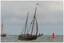 Hanse Sail 2008