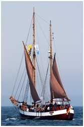 17. Hanse Sail Rostock vom 9.-12. August 2007