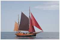 Haikutter Hanne-Marie