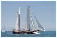 Galeasse Pegasus