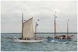 Heringslogger Pirola