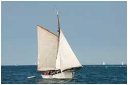 Heringslogger Pirola