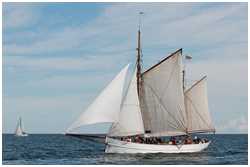 Hanse Sail 2012