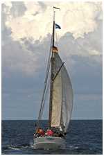 Heringslogger Pirola
