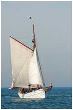 Heringslogger Pirola