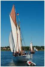 Heringslogger Pirola