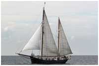 Hanse Sail 2006