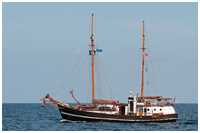 Hanse Sail 2013
