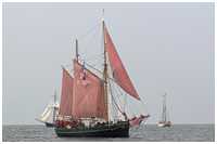 Hanse Sail 2006