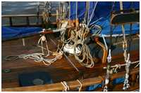 Jagt Die Zwillinge von Kappeln